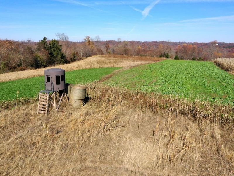 144 Pumpkin Ridge Road, Monroe Township, OH 45144 Photo 8