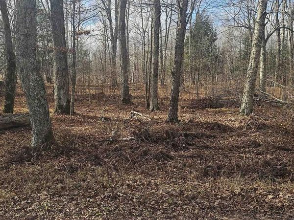 CHIP N DALE DRIVE, Pickerel, WI 54465