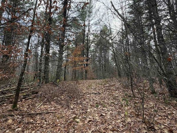 00 Deer Meadow Road, Webster, NH 03303