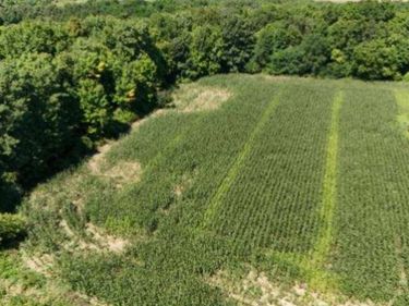 Parcel 4 Sycamore St, Dryden Twp, MI 48428