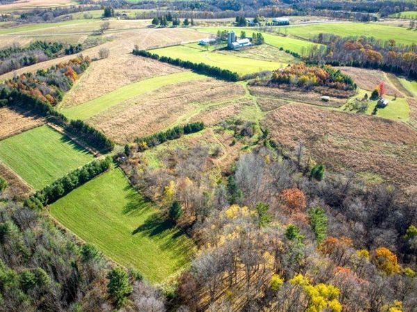 25005 Norhardt Ave, Wellington, WI 54651