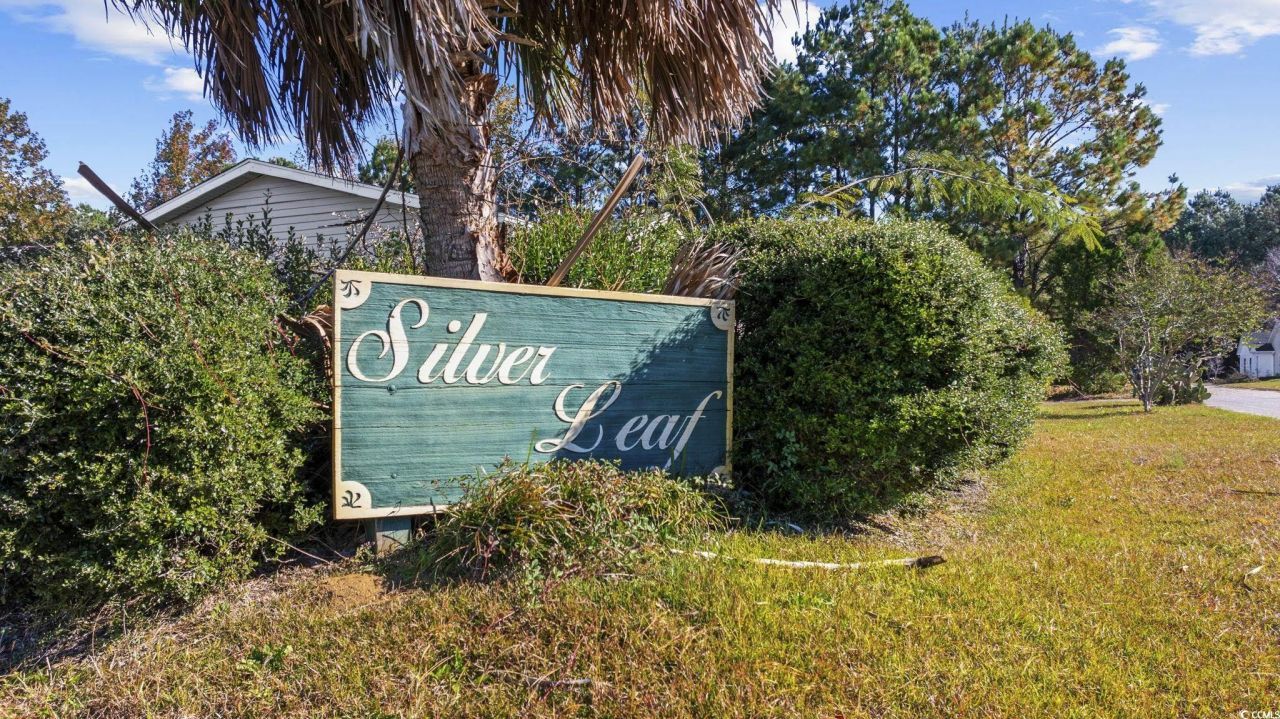 2902 Silver Leaf Circle Photo 30