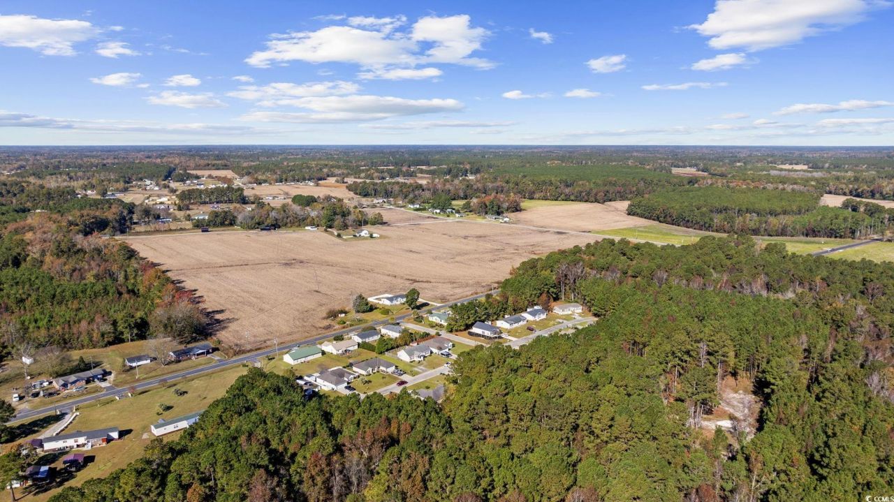 2902 Silver Leaf Circle Photo 34