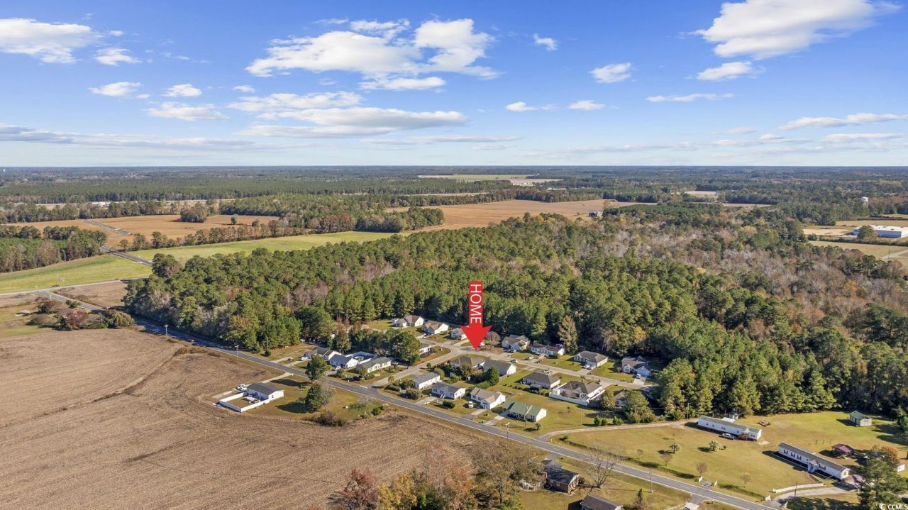 2902 Silver Leaf Circle Photo 37