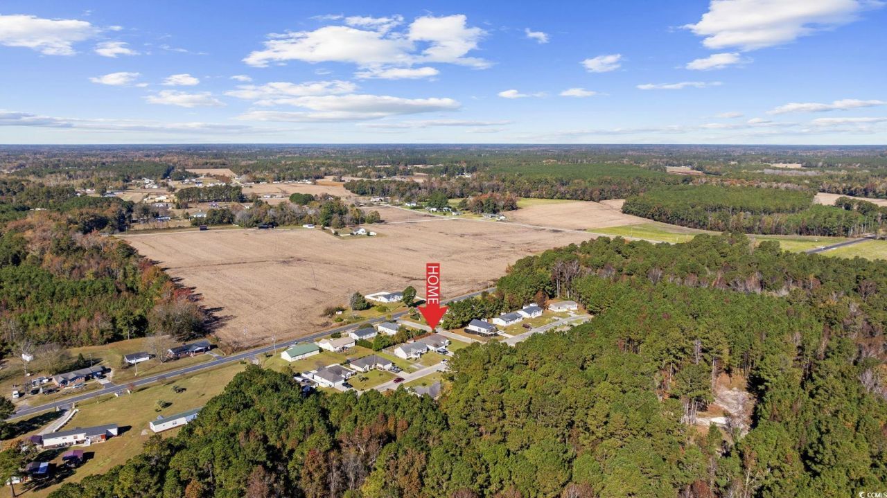 2902 Silver Leaf Circle Photo 38