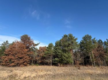 L5,Blk1 262nd Avenue NW, Big Lake, MN 55309