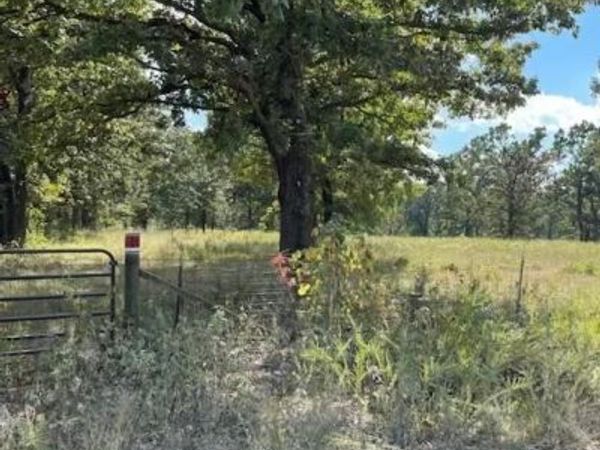 3 Kansas, Lebanon, MO 65536