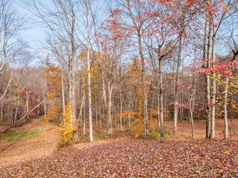 19248 State Route 328 , New Plymouth, OH 45654 Photo 5