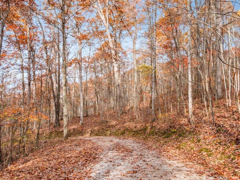 19248 State Route 328 , New Plymouth, OH 45654 Photo 6