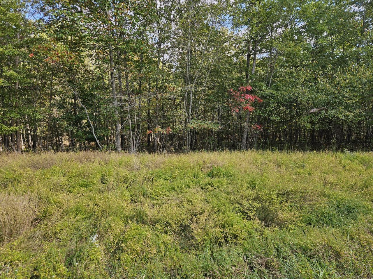 0 Holly Lane, Spencer, TN 38585 Main Photo