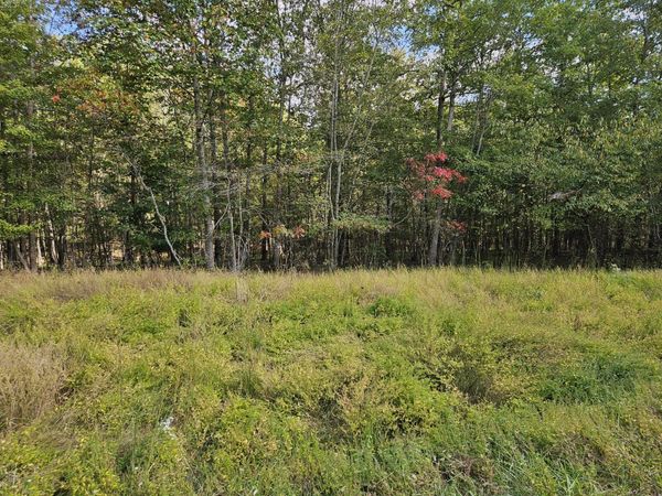 0 Holly Lane, Spencer, TN 38585