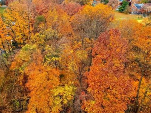 203 YOAKUM PARKWAY, Unit 1807, ALEXANDRIA, VA 22304