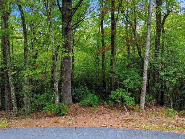 0 Grimes Nose, Unit 40, Sautee Nacoochee, GA 30571