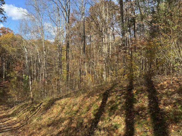 0 Maple Drive, Nashville, IN 47448