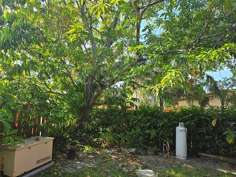 7468 NW 33rd Street, Unit 7468, Lauderhill, FL 33319 Photo