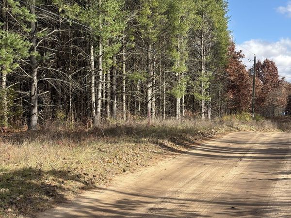 0 W Tamarack Road, Newaygo, MI 49337