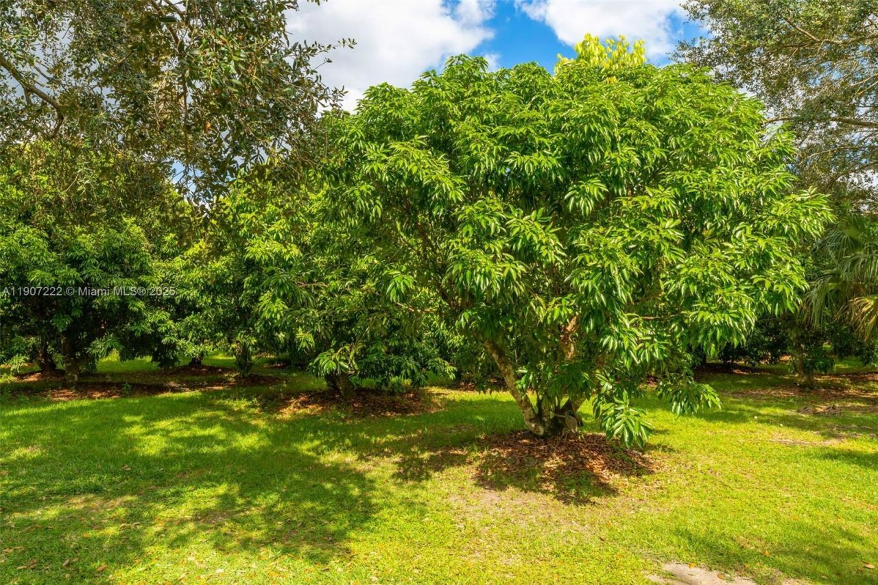 18895 SW 212th St, Miami, FL 33187 Photo