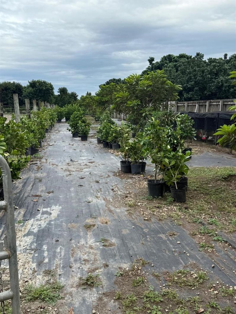 25945 SW 197th Ave, Homestead, FL 33031 Photo