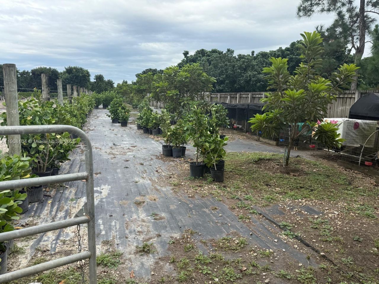 25945 SW 197th Ave, Homestead, FL 33031 Photo