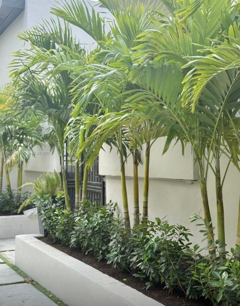 7521 NE 2nd Ct, Unit 4, Miami, FL 33138 Photo