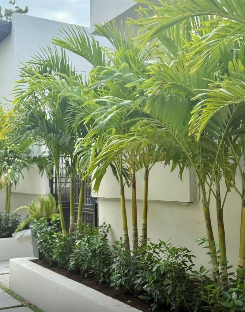 7521 NE 2nd Ct, Unit 4, Miami, FL 33138 Photo