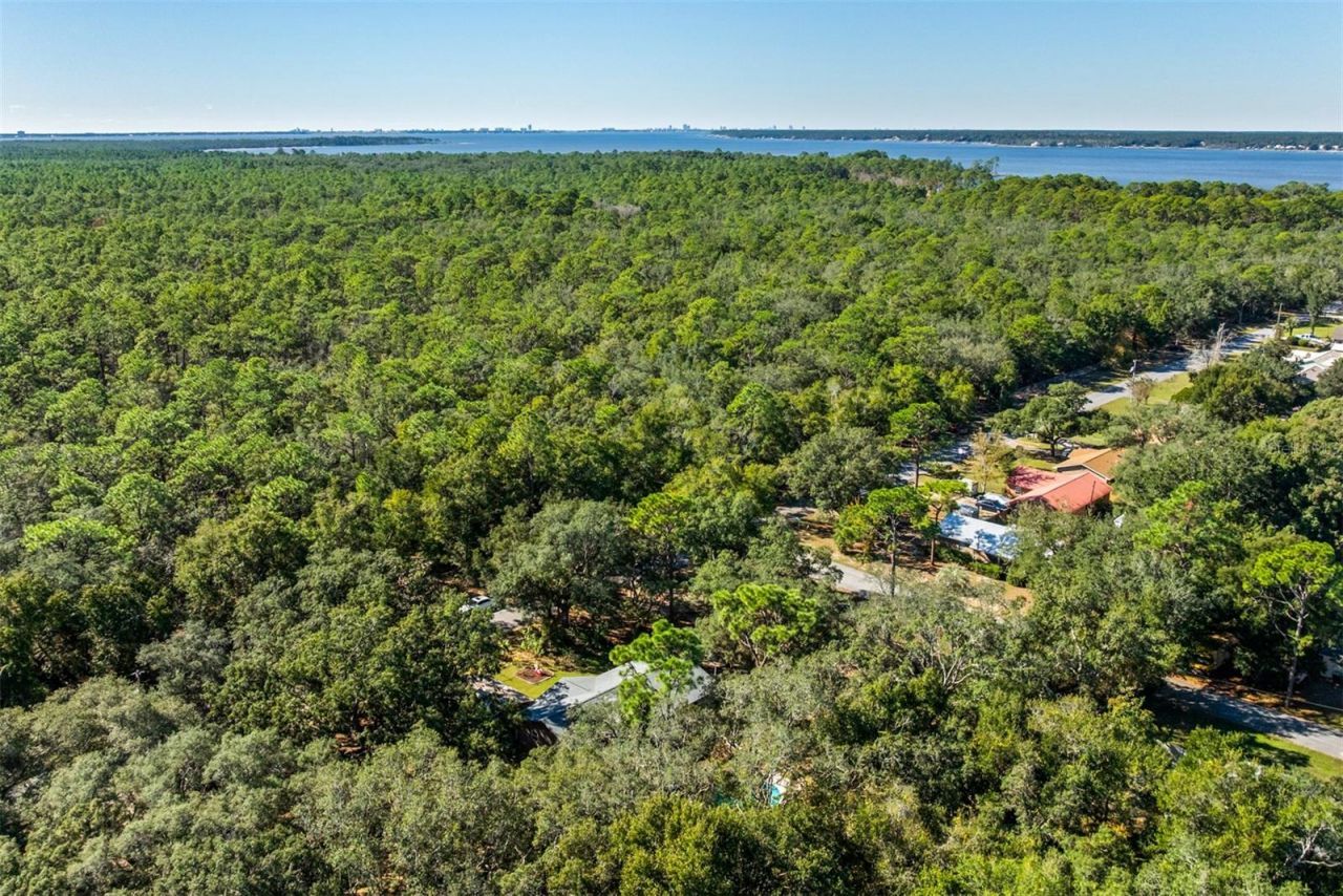 1040 Jocelin Road, Pensacola, FL 32506 Photo