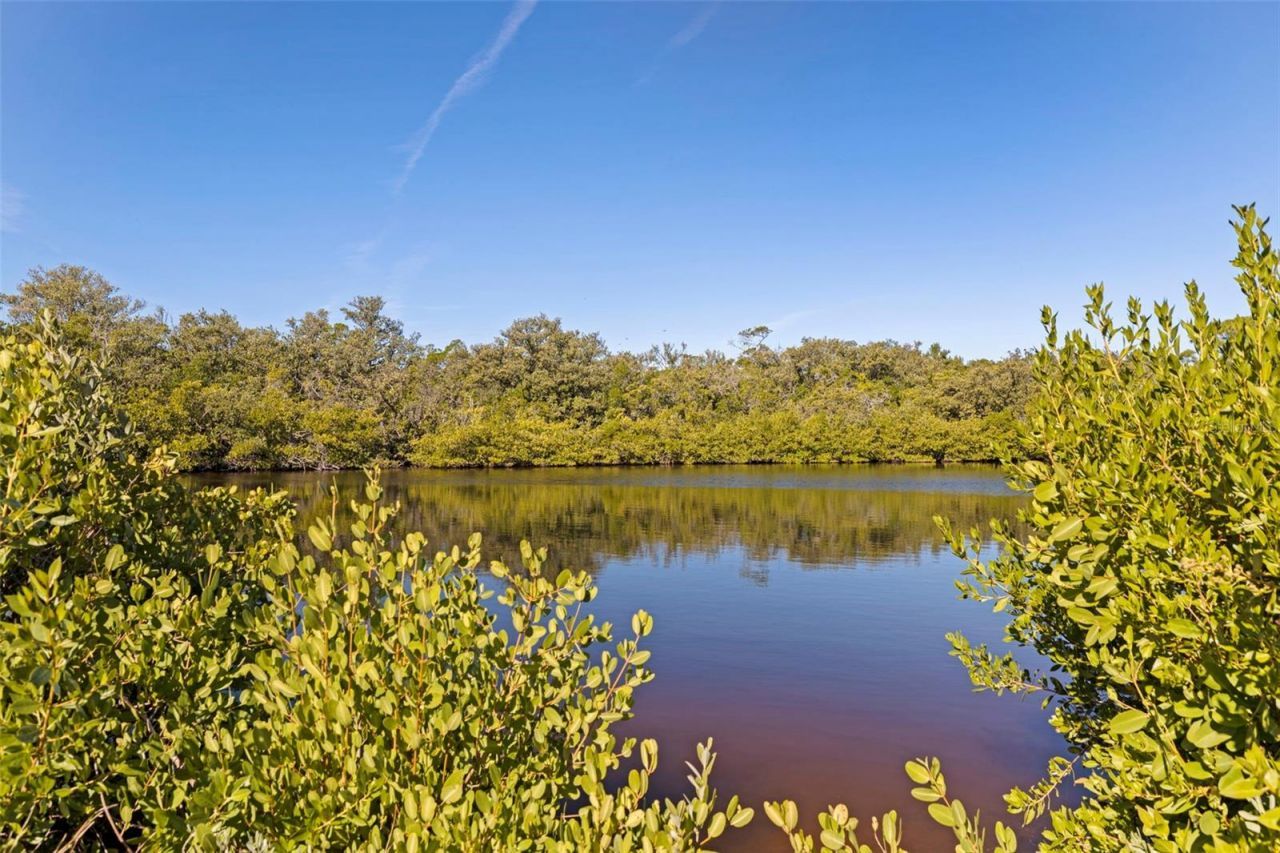 2000 Bayview Drive, Tierra Verde, FL 33715 Photo