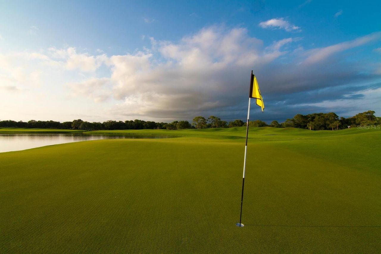 49 Osprey Point Drive, Osprey, FL 34229 Photo