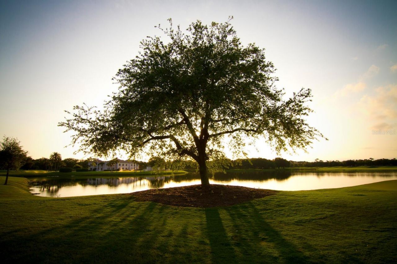 49 Osprey Point Drive, Osprey, FL 34229 Photo