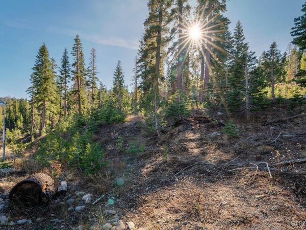 14 The Palisades unit #4, Kirkwood, CA 95646