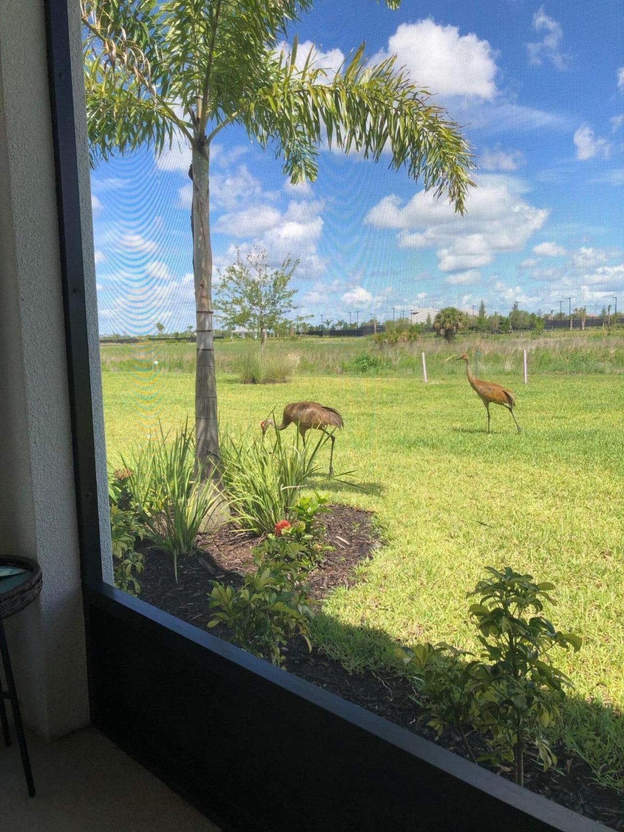 12861 SW Ambra Street, Port Saint Lucie, FL 34987 Photo