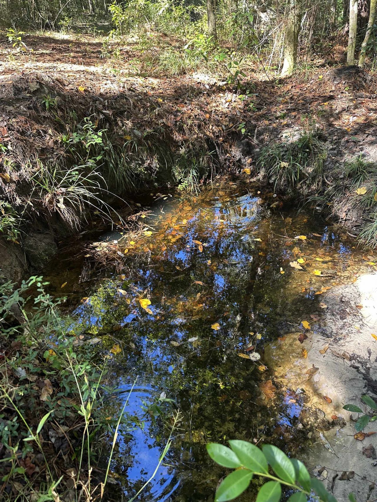 293 Hummingbird Lane , Other Florida, FL 32455 Photo