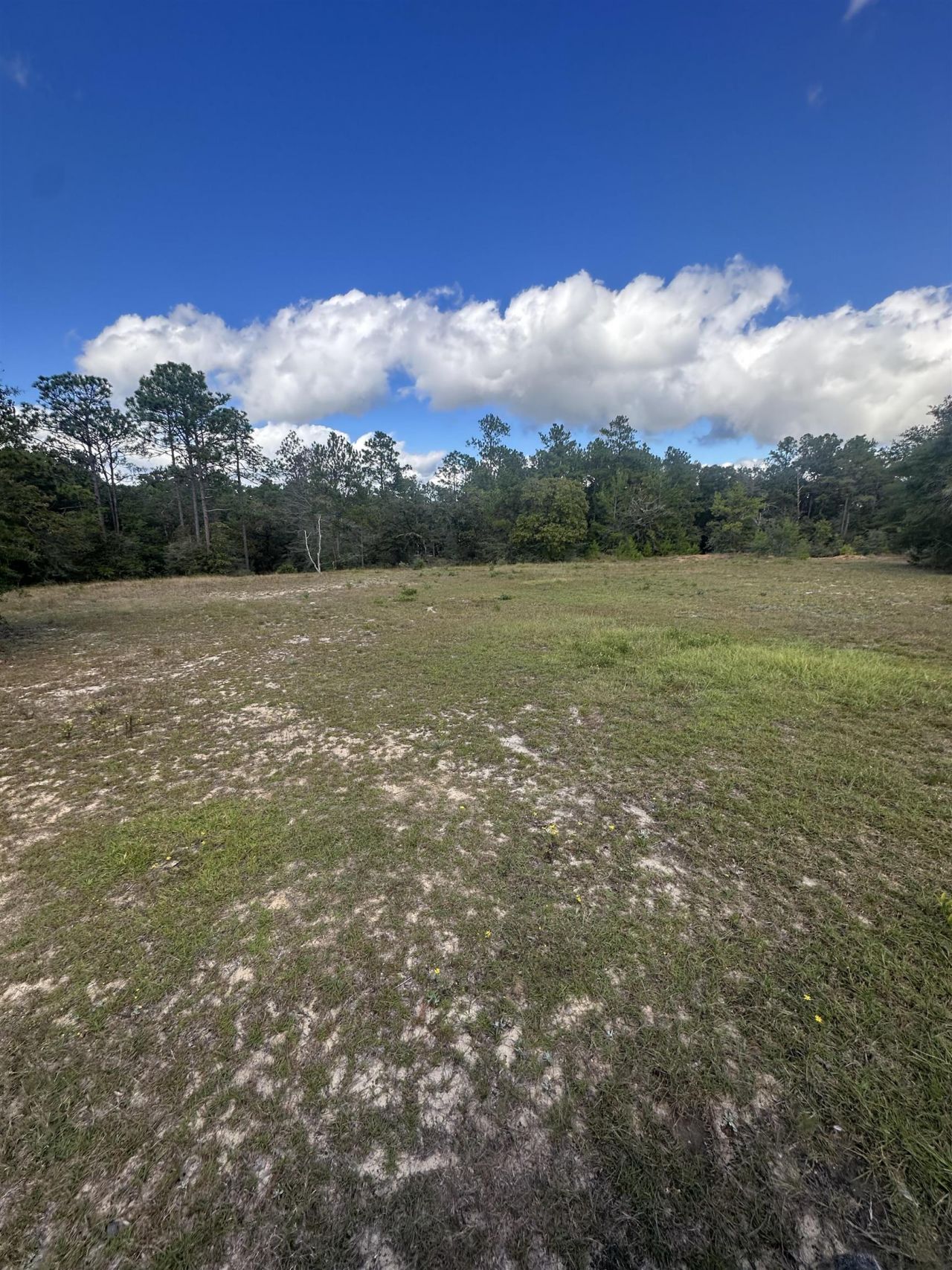 293 Hummingbird Lane , Other Florida, FL 32455 Photo