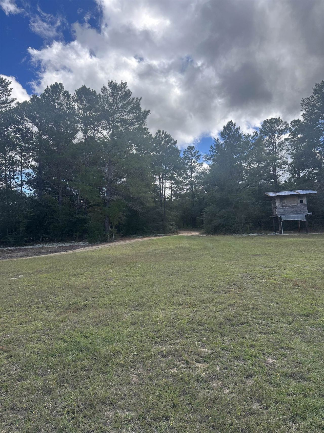 293 Hummingbird Lane , Other Florida, FL 32455 Photo