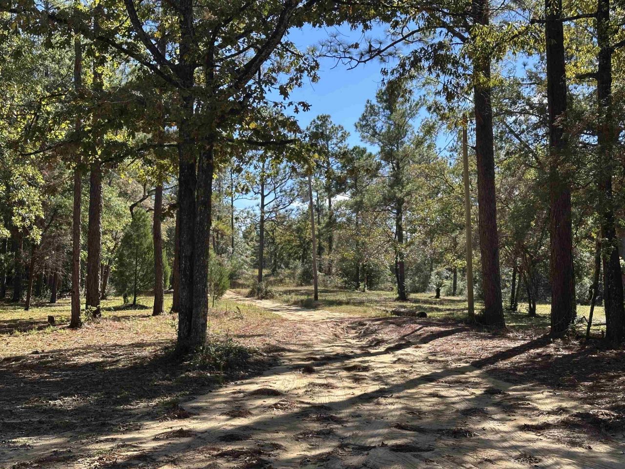 293 Hummingbird Lane , Other Florida, FL 32455 Photo