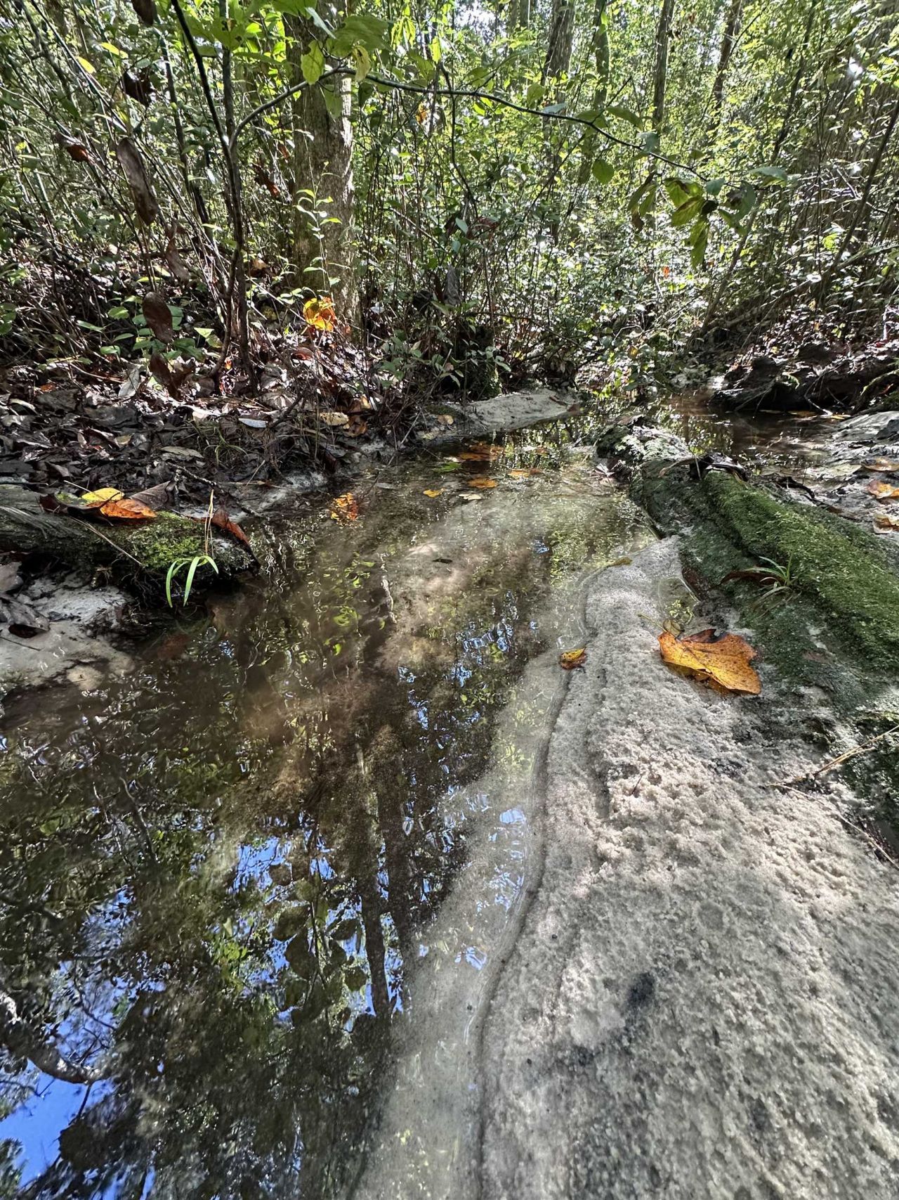 293 Hummingbird Lane , Other Florida, FL 32455 Photo