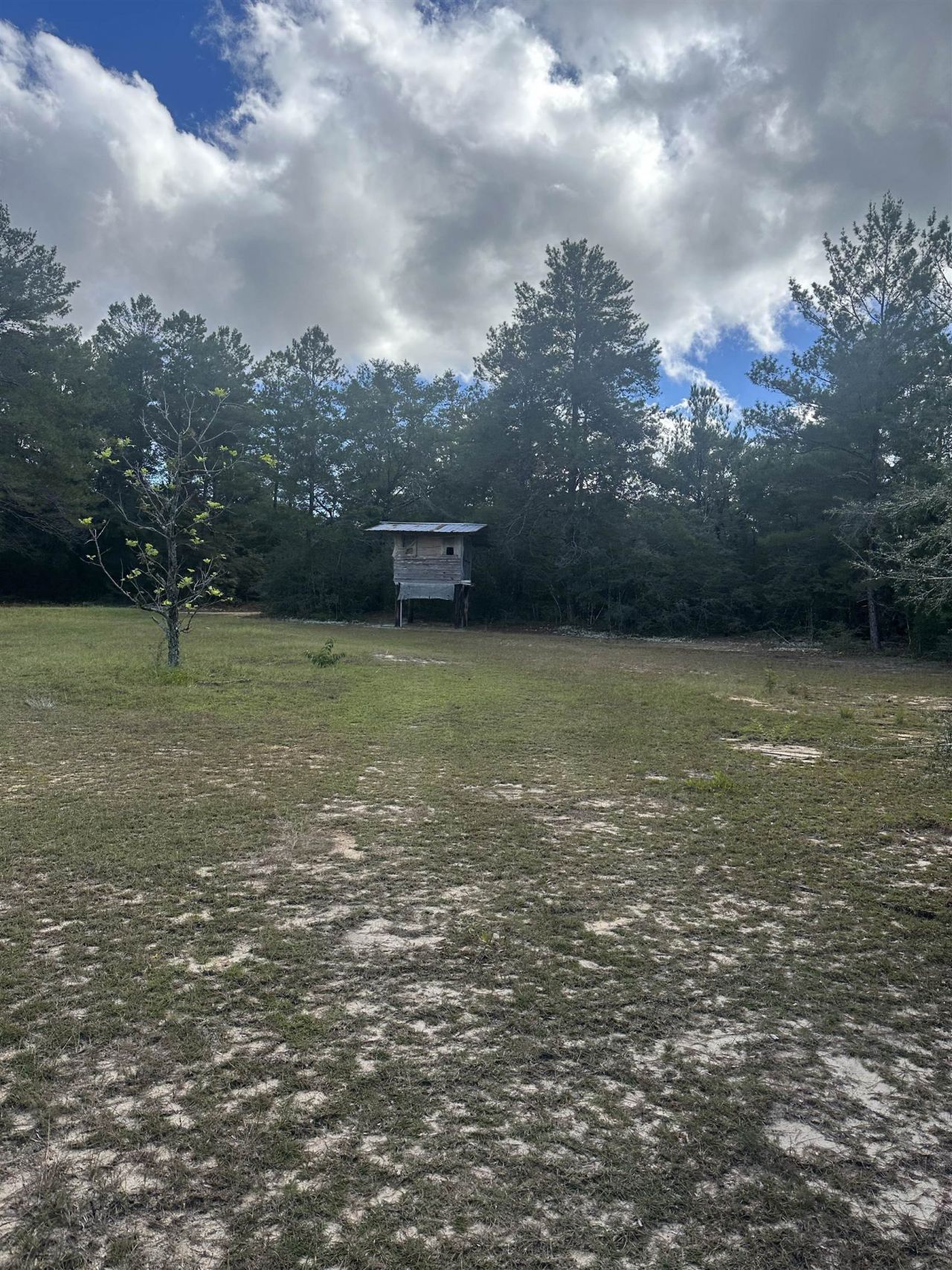 293 Hummingbird Lane , Other Florida, FL 32455 Photo