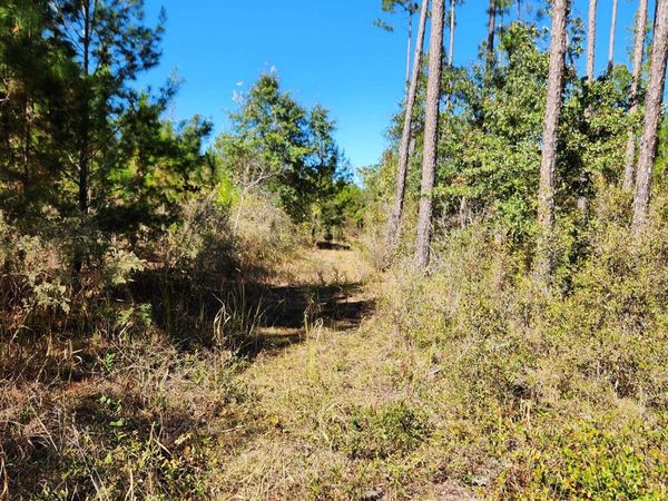 18193 NW 18193 NW PONDEROSA Trail, Bristol, FL