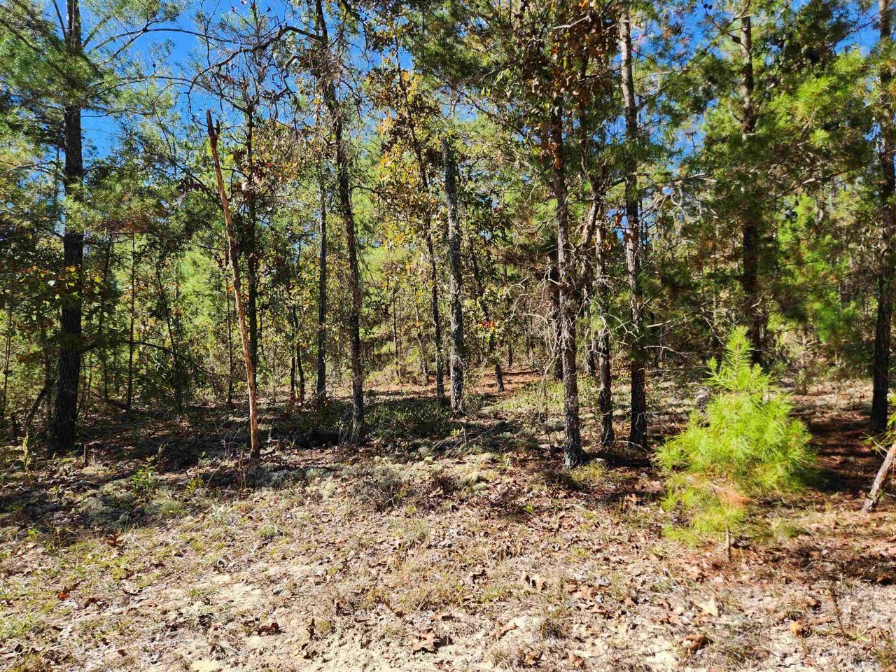 18193 NW 18193 NW Ponderosa Trail, Bristol, FL 00000 Photo