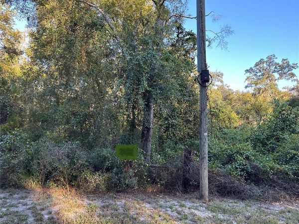 OOO SE 923RD STREET, OLD TOWN, FL 32680