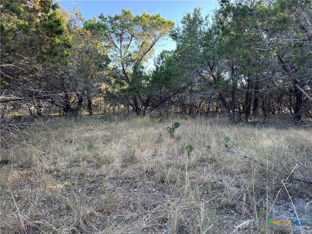 15915 Charlya Drive, Temple, TX 76502 Main Photo