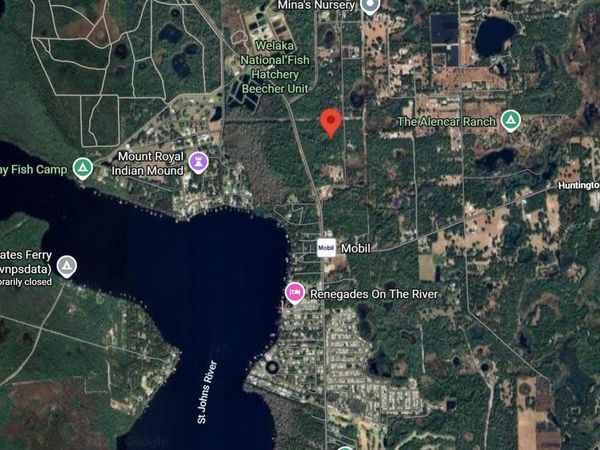 175 OAK RUN ROAD, CRESCENT CITY, FL 32112