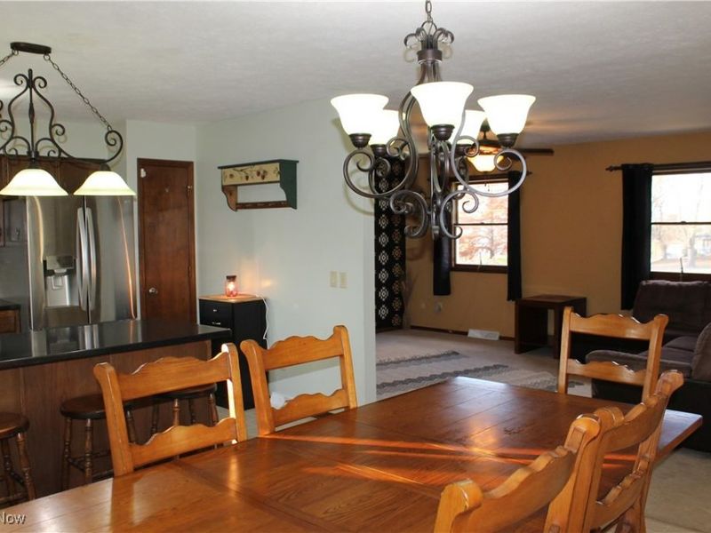 5620 Fenn Road, Medina, OH 44256 Photo 20