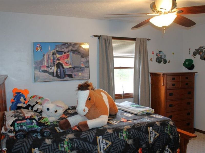 5620 Fenn Road, Medina, OH 44256 Photo 29