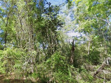 TBD SE 926TH ST STREET, OLD TOWN, FL 32680