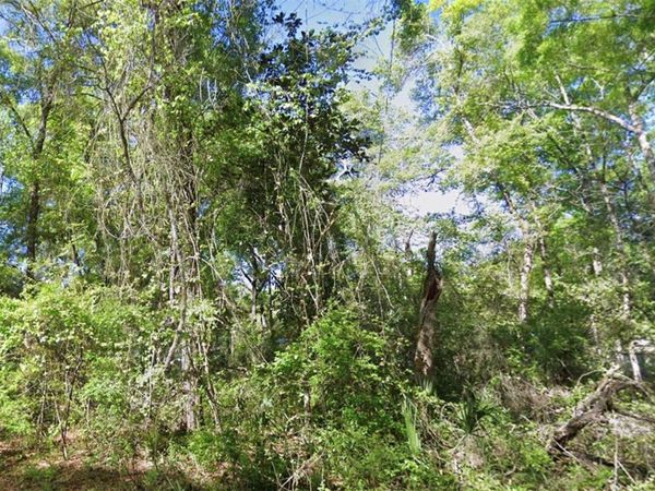 TBD SE 926TH ST STREET, OLD TOWN, FL 32680