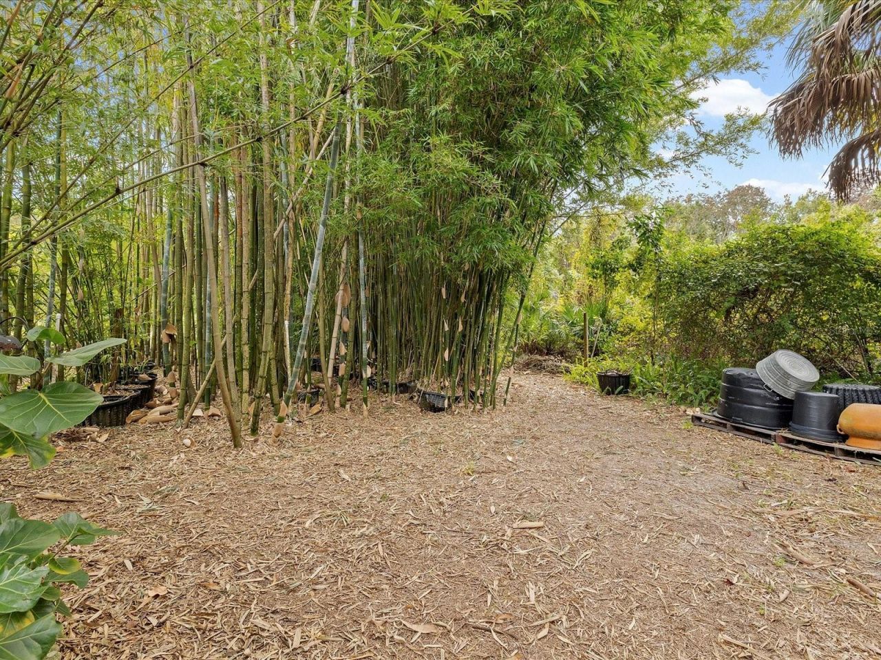 8551 Pratt Drive, New Port Richey, FL 34654 Photo