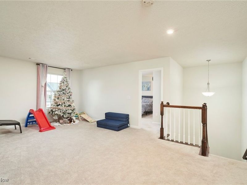 220 Salt Creek Run, Peninsula, OH 44264 Photo 23