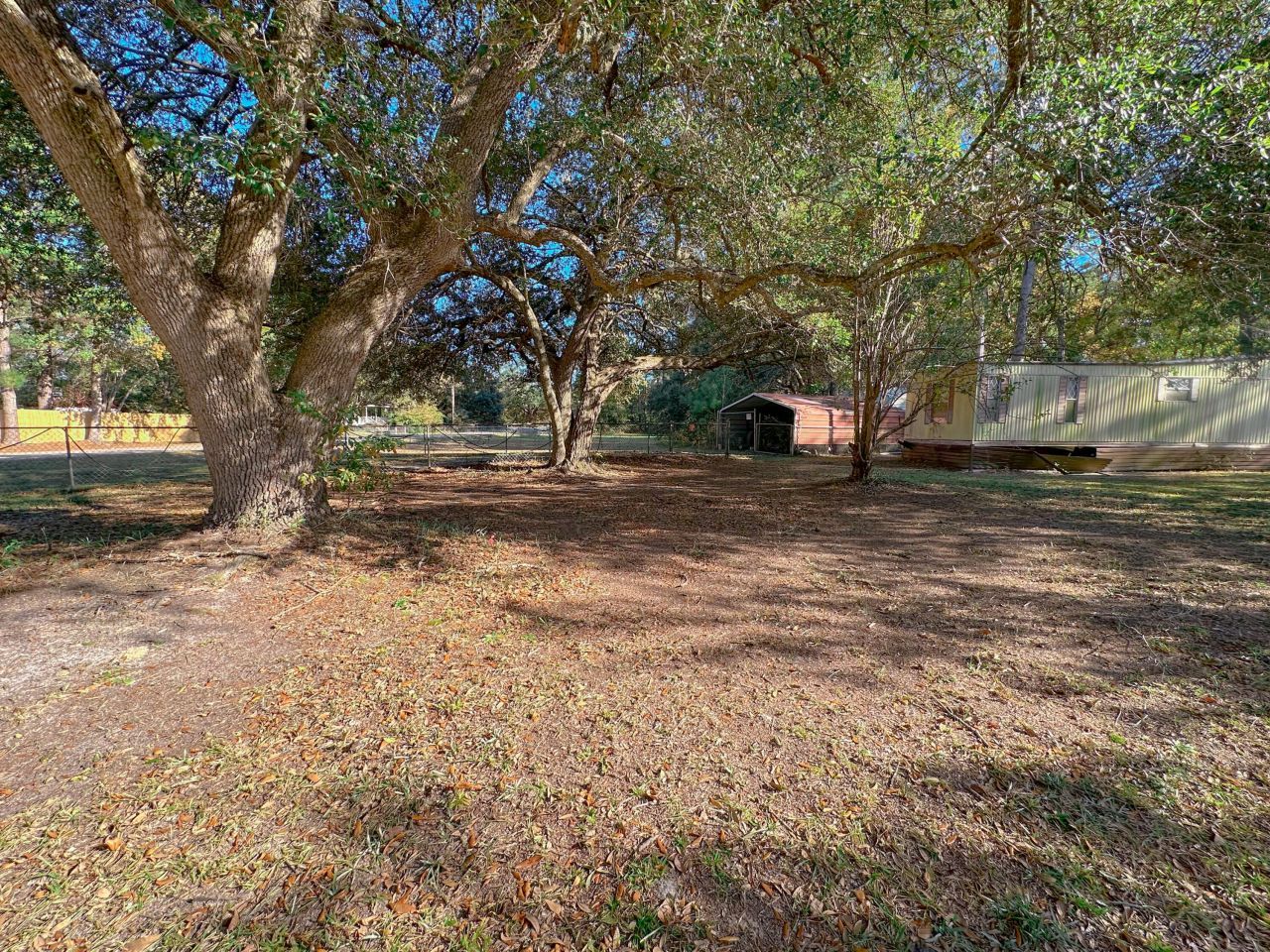 560 Farrell Street Photo 4