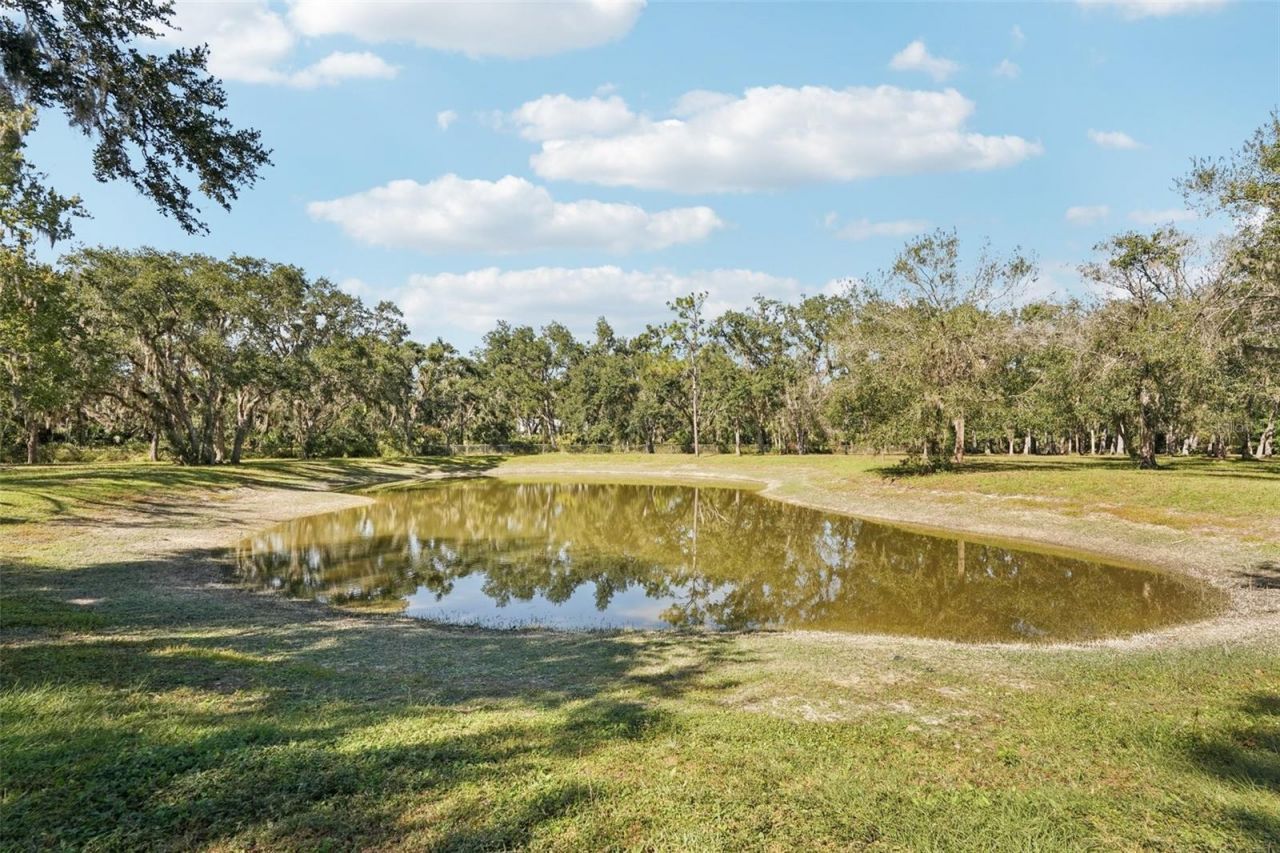 30950 Mossy Oak Terrace, Myakka City, FL 34251 Photo